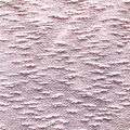 /msite/products/detail/productid/57424850/id/665751.html